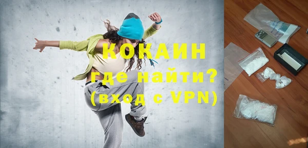 шишки Пересвет