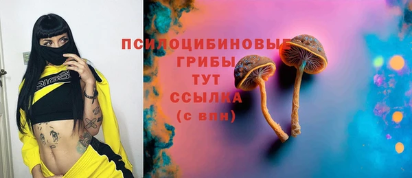 шишки Пересвет