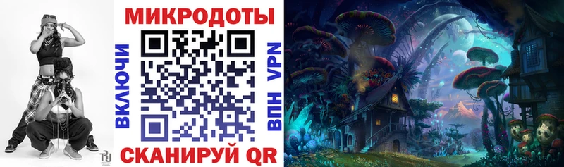 Псилоцибиновые грибы Cubensis  Астрахань 