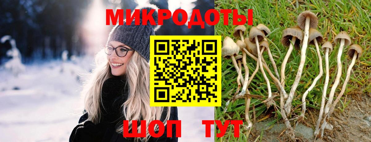 Галлюциногенные грибы мухоморы  где продают   Астрахань  Вход с VPN 